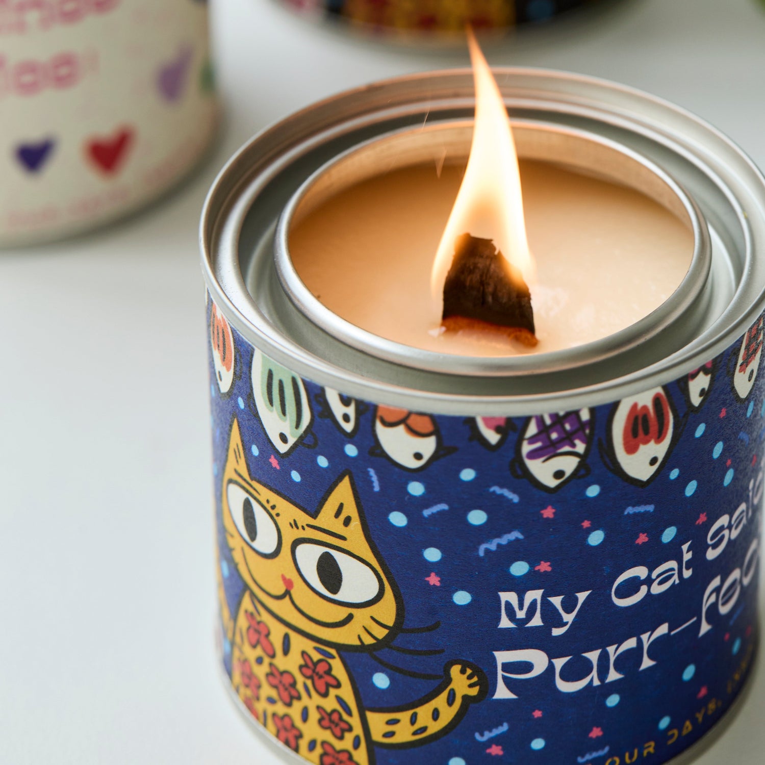 Purr-fect Harmony | Blueberry Cream