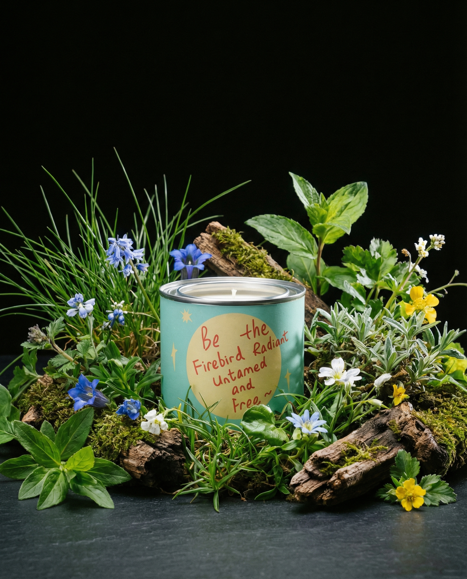 Firebird — Clean Air