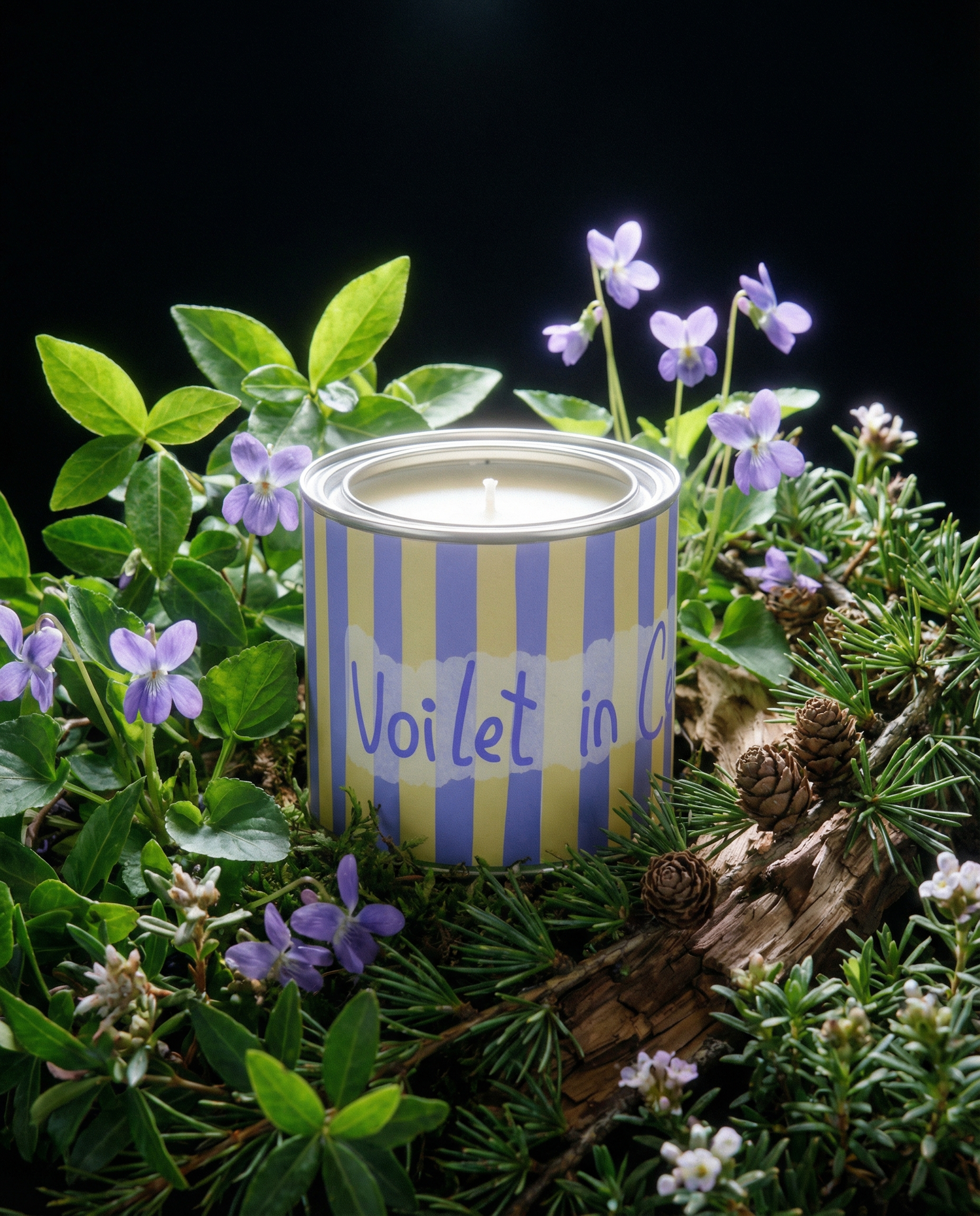 Violet in Ceder  — Violet Cedar