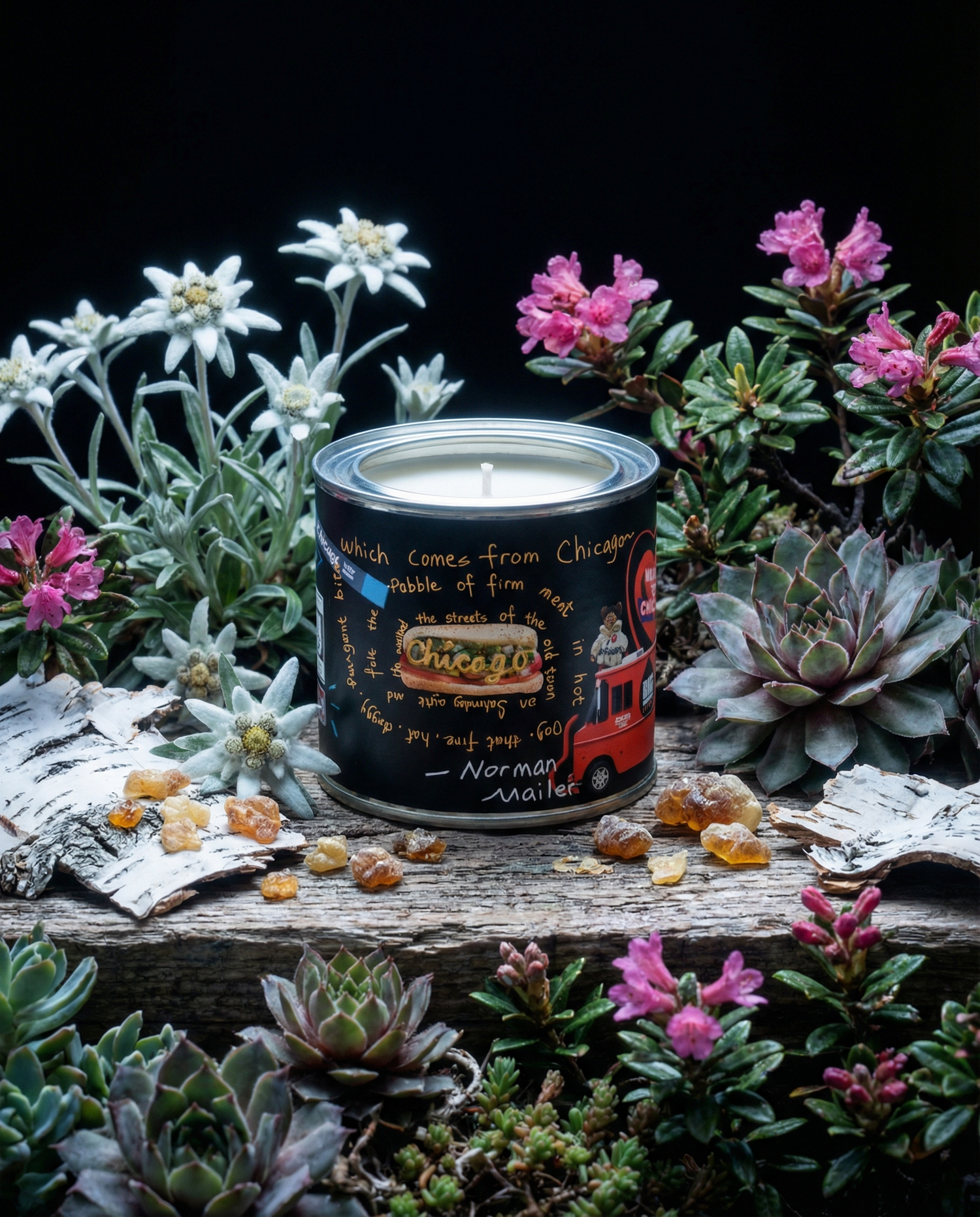 Chicago — Chicago Ember