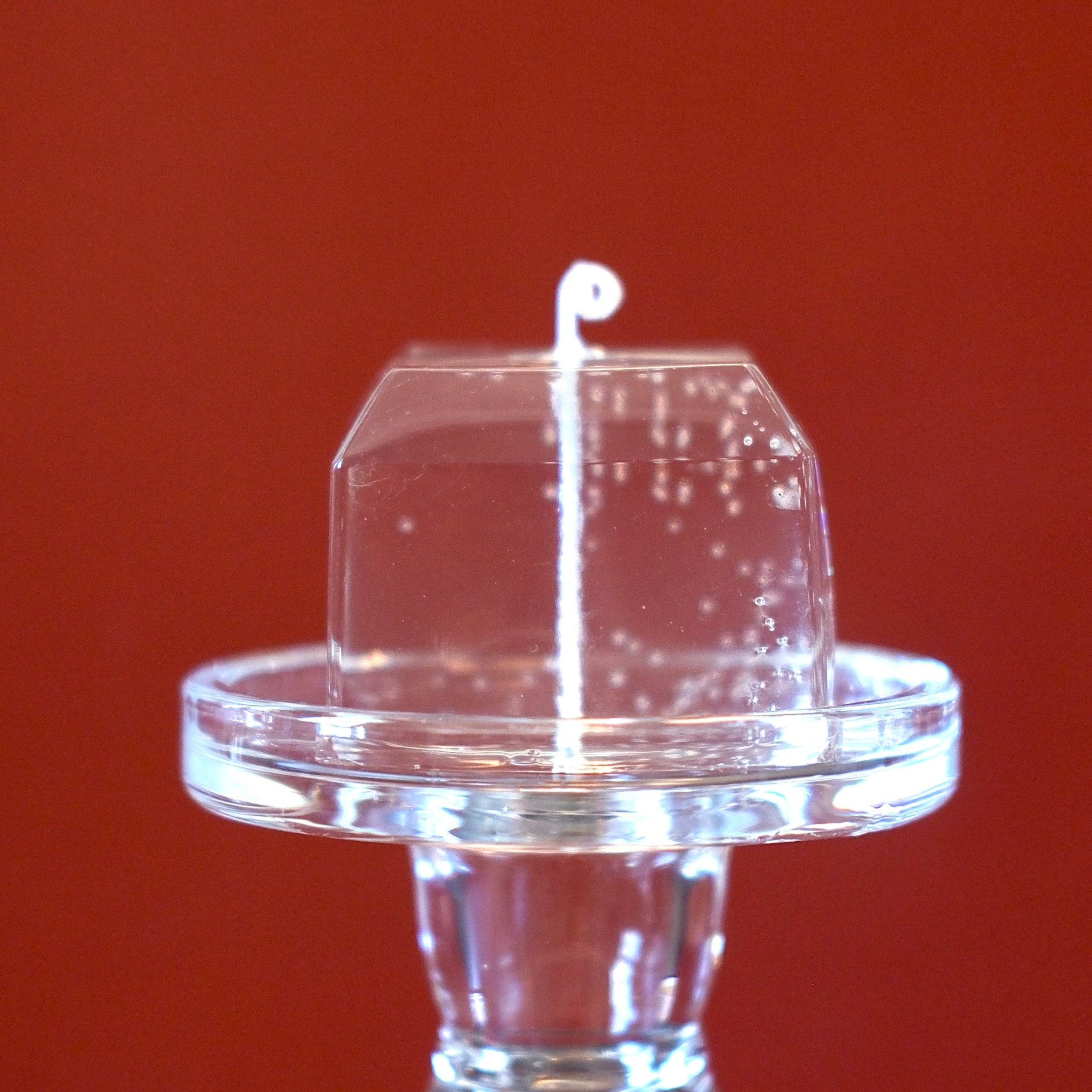 Jelly | Ice Cube | Clear